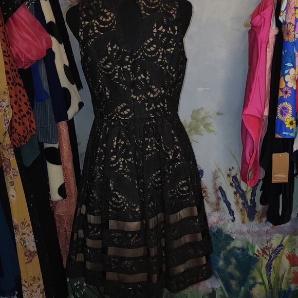 EUC Eliza J Black Lace with Mesh with Champagne Colored Liner - Picture 4 of 10